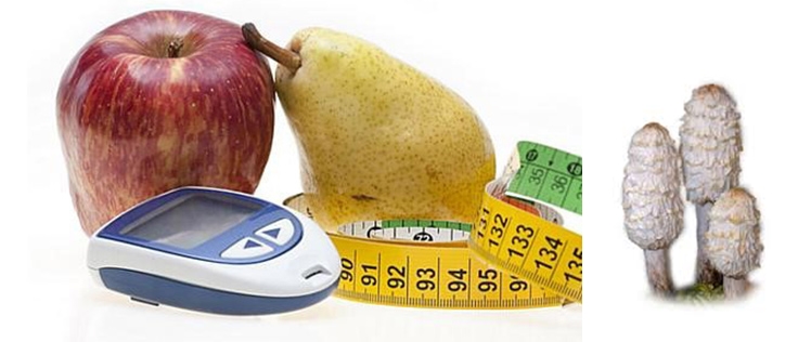 A cukorbetegek diétájának szerves része lehet a Gyapjas tintagomba rendszeres fogyasztása!